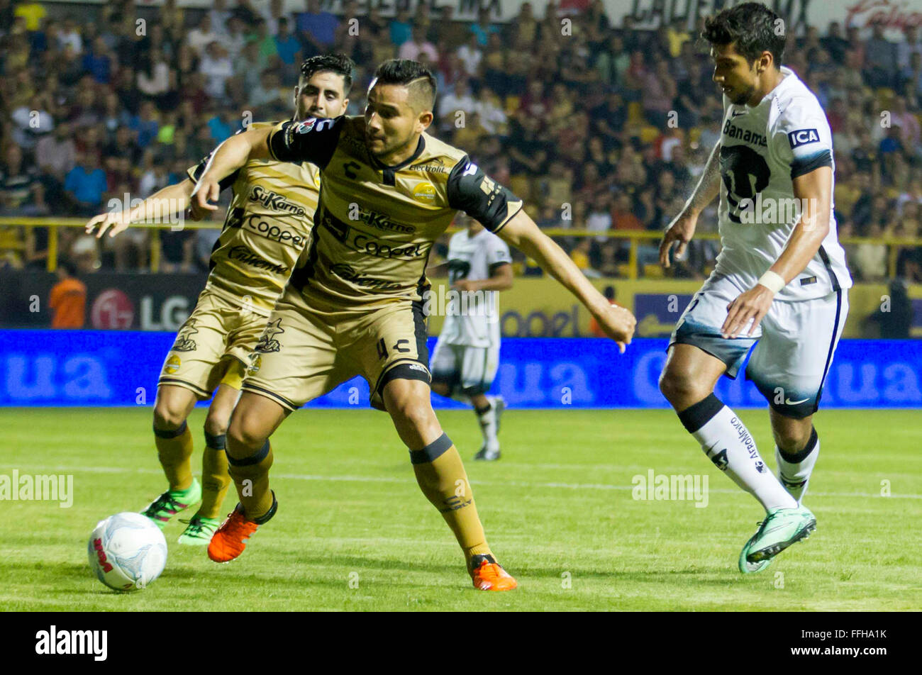 Culiacan, Mexico. 13th Feb, 2016. Dorados' Jesus Chavez (C) vies for the  ball with Pumas de la UNAM's Eduardo Herrera (R) during the match on the  Day 6 of Closing Tournament 2016