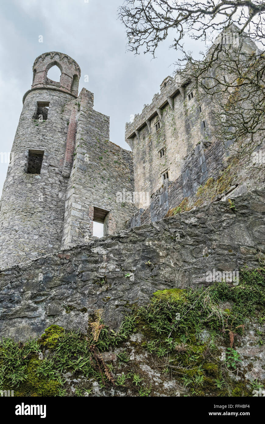 Blarney Castle home of the legendary stone of Blarney, Cork, Ireland Stock Photo
