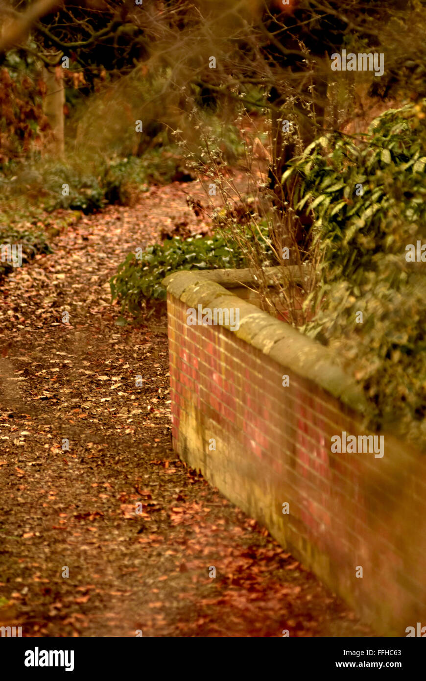 path and wall, Thirsk, North Yorkshire Stock Photo