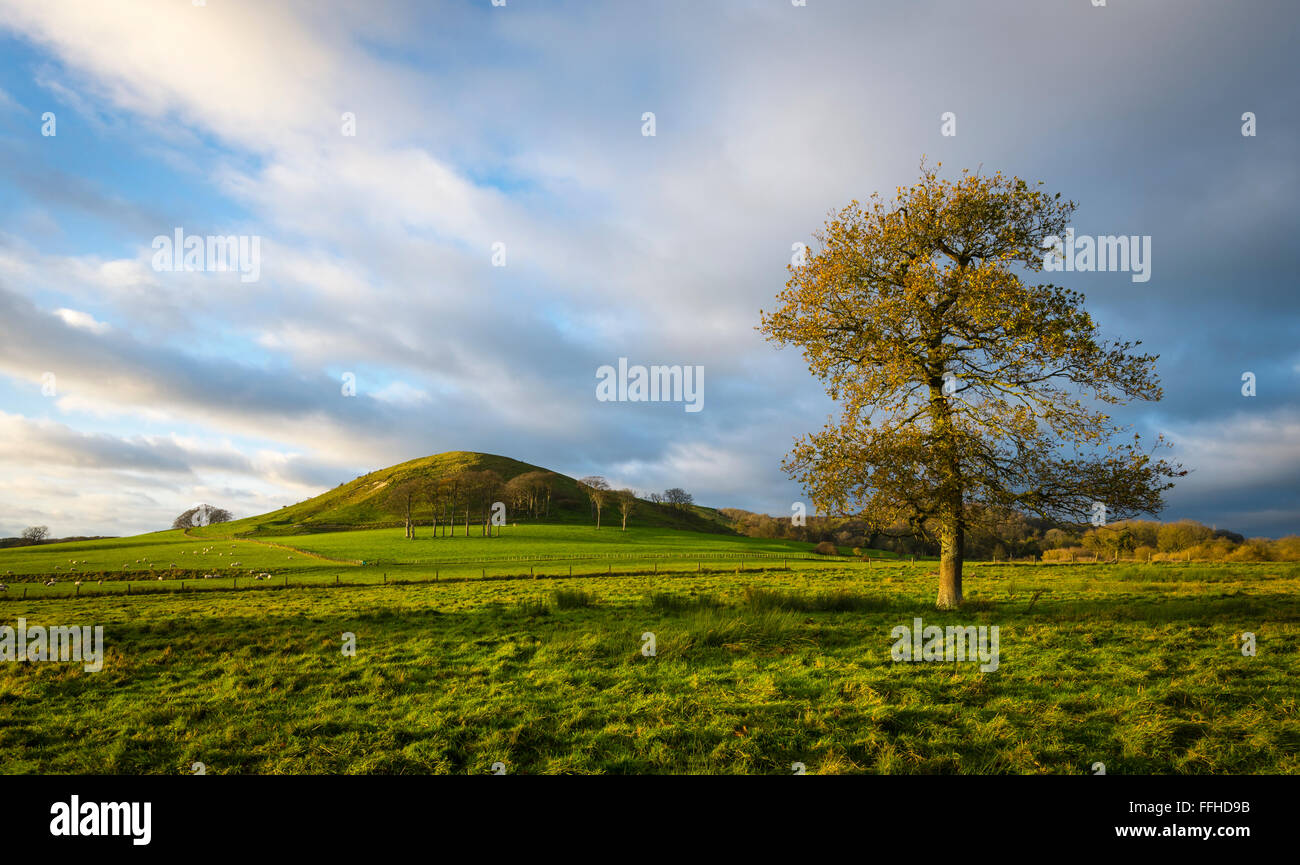 A view of Summerhouse Hill on the Kent Downs, part of the wider North Downs in the south of England. Stock Photo