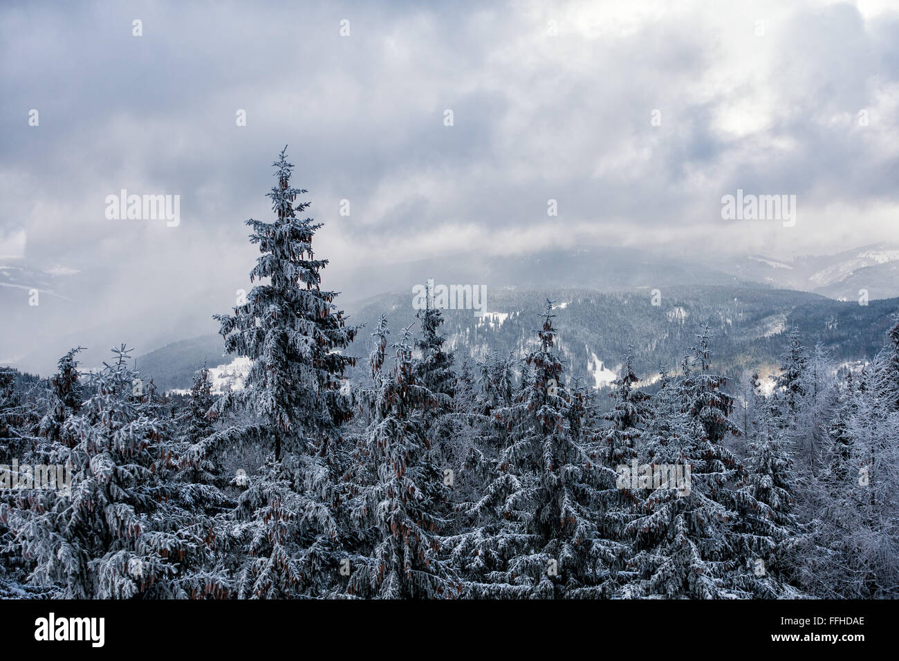Winter in the mountains with snow Stock Photo