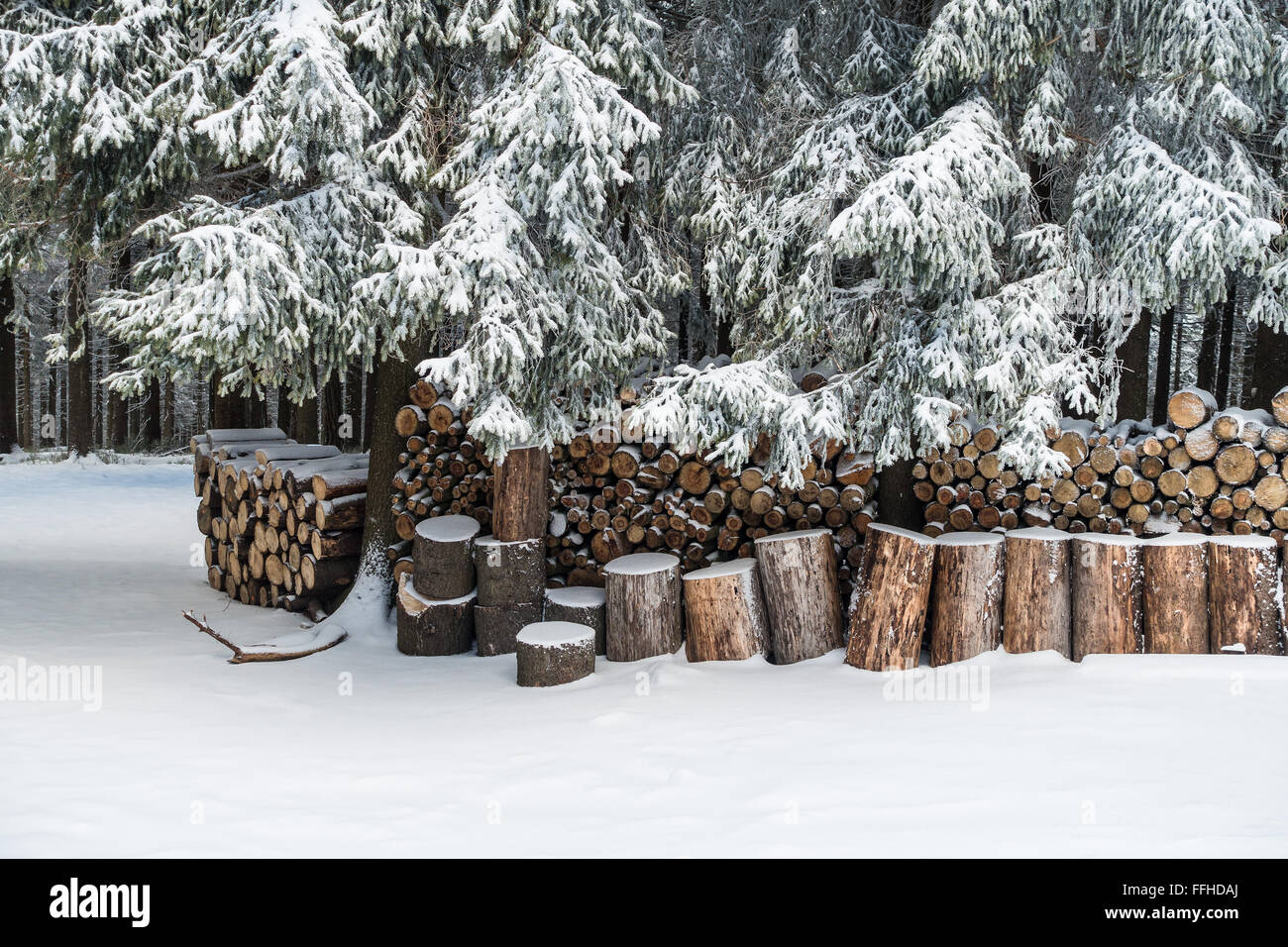 Winter in the mountains with snow Stock Photo