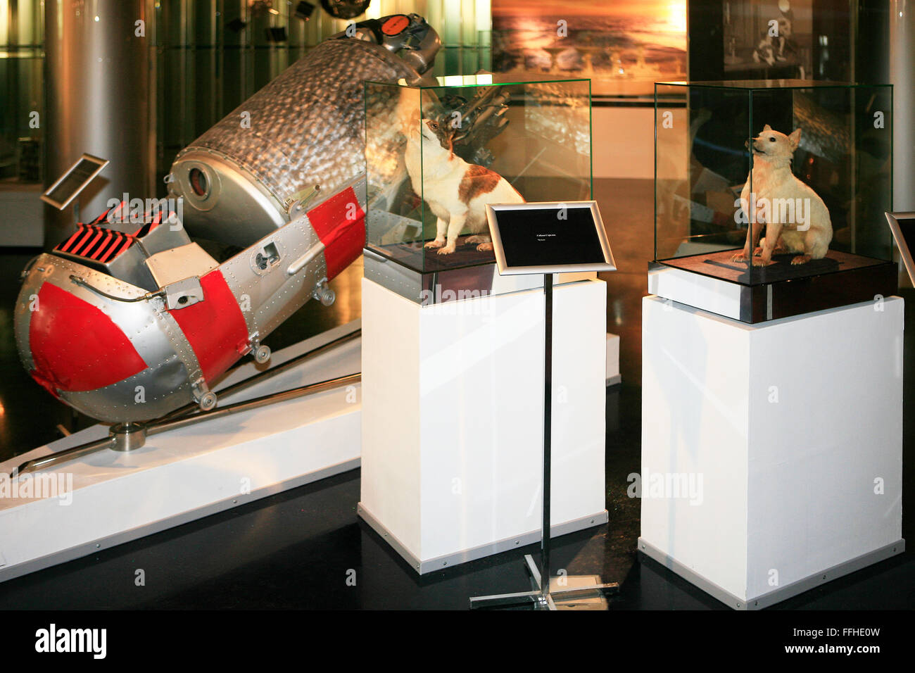 The Soviet space dogs Belka (Squirrel) and Strelka (Little Arrow) at the Memorial Museum of Cosmonautics in Moscow, Russia Stock Photo