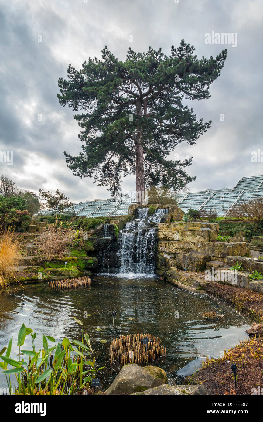 The Waterfall Kew Gardens London England UK Stock Photo