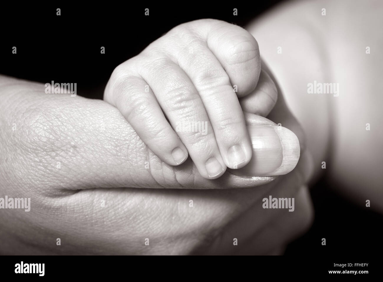 A black & white image of small baby grips the thumb of an adult Stock Photo