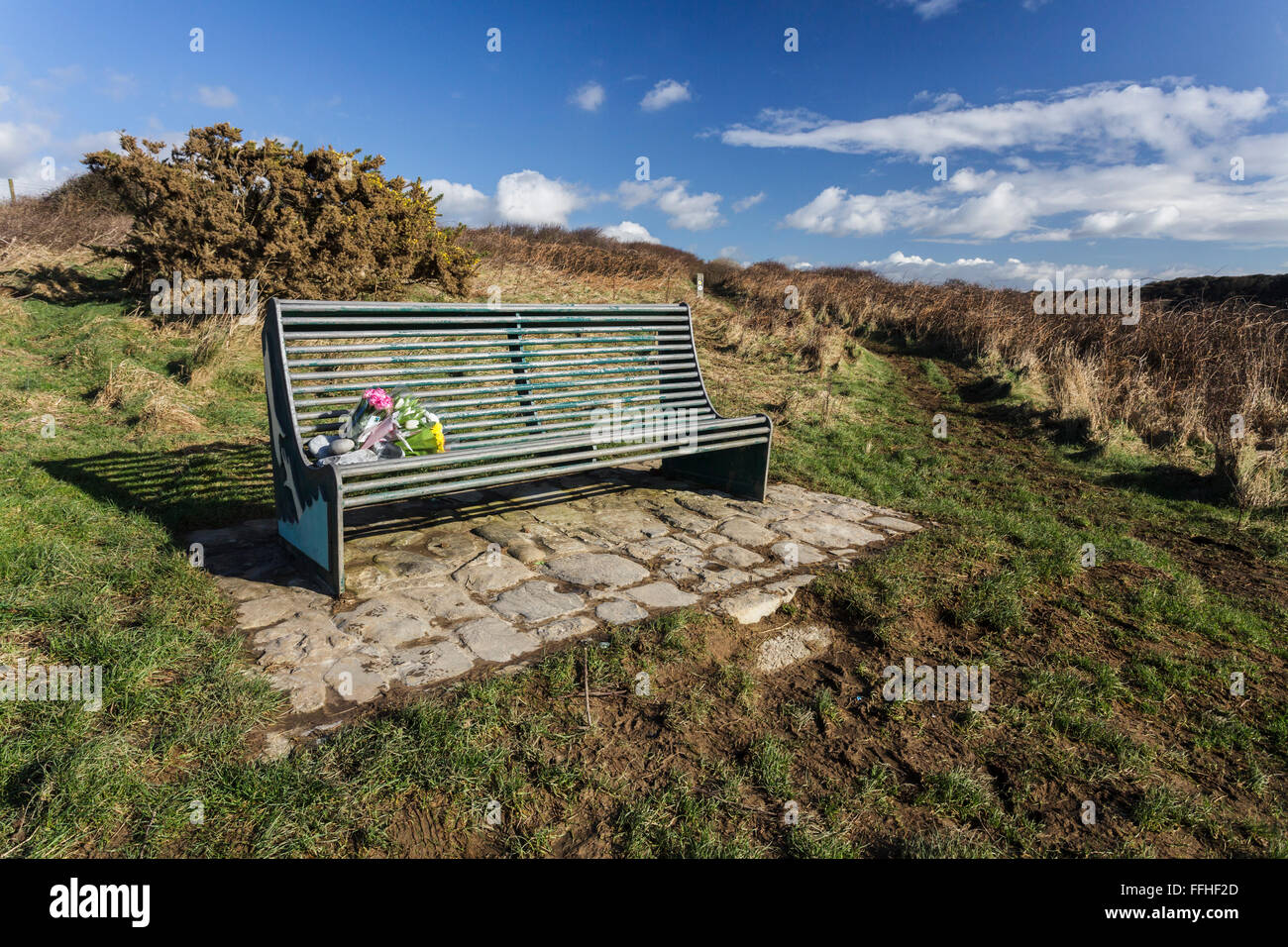 An empty bench with fresh cultivated flowers left on the seat. The bench is on the headland and looks out to sea. Stock Photo