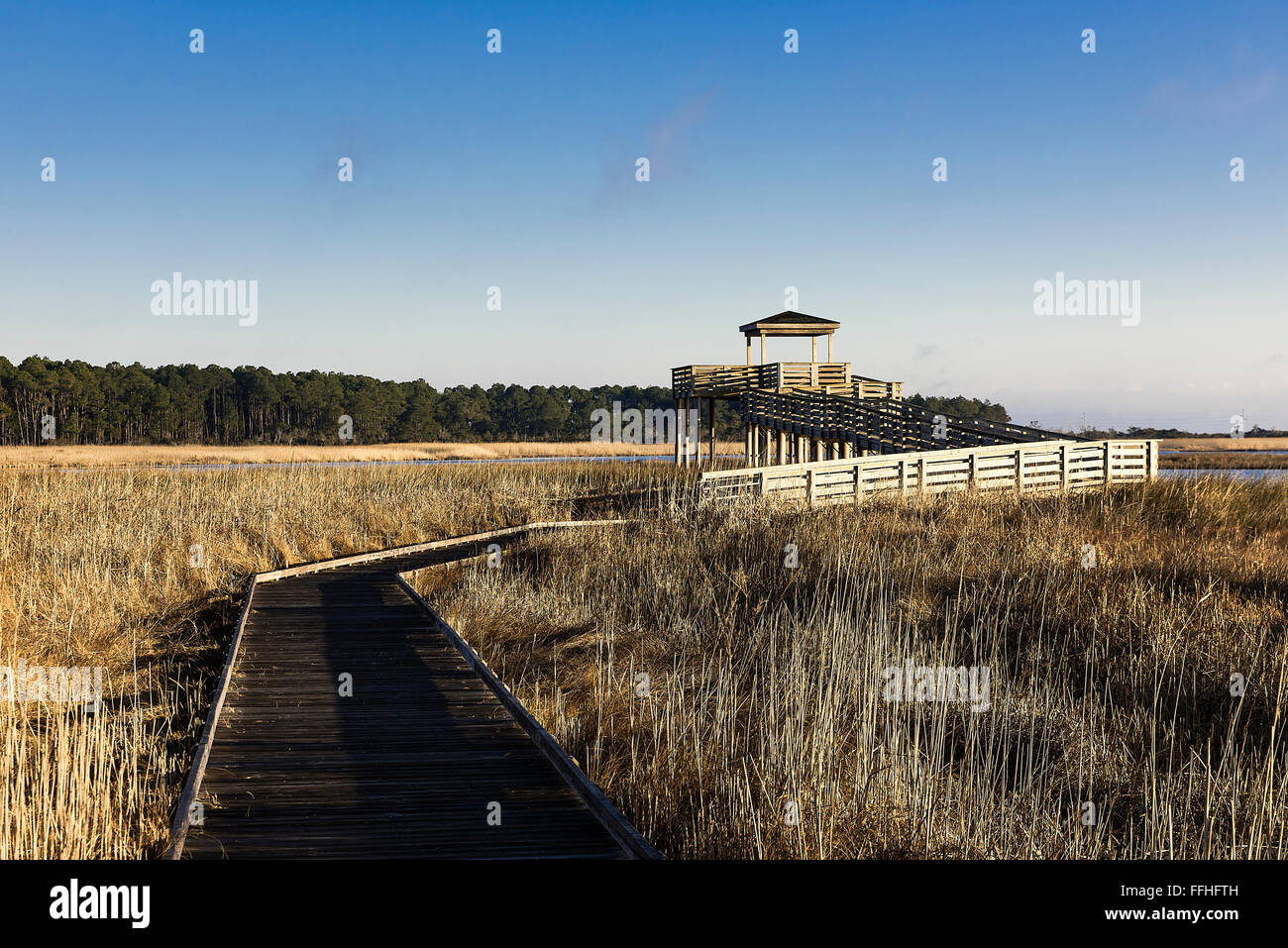 Salt marsh viewing platform at Bodie Island Lighthouse, Cape Hatteras National Seashore, North Carolina, USA Stock Photo