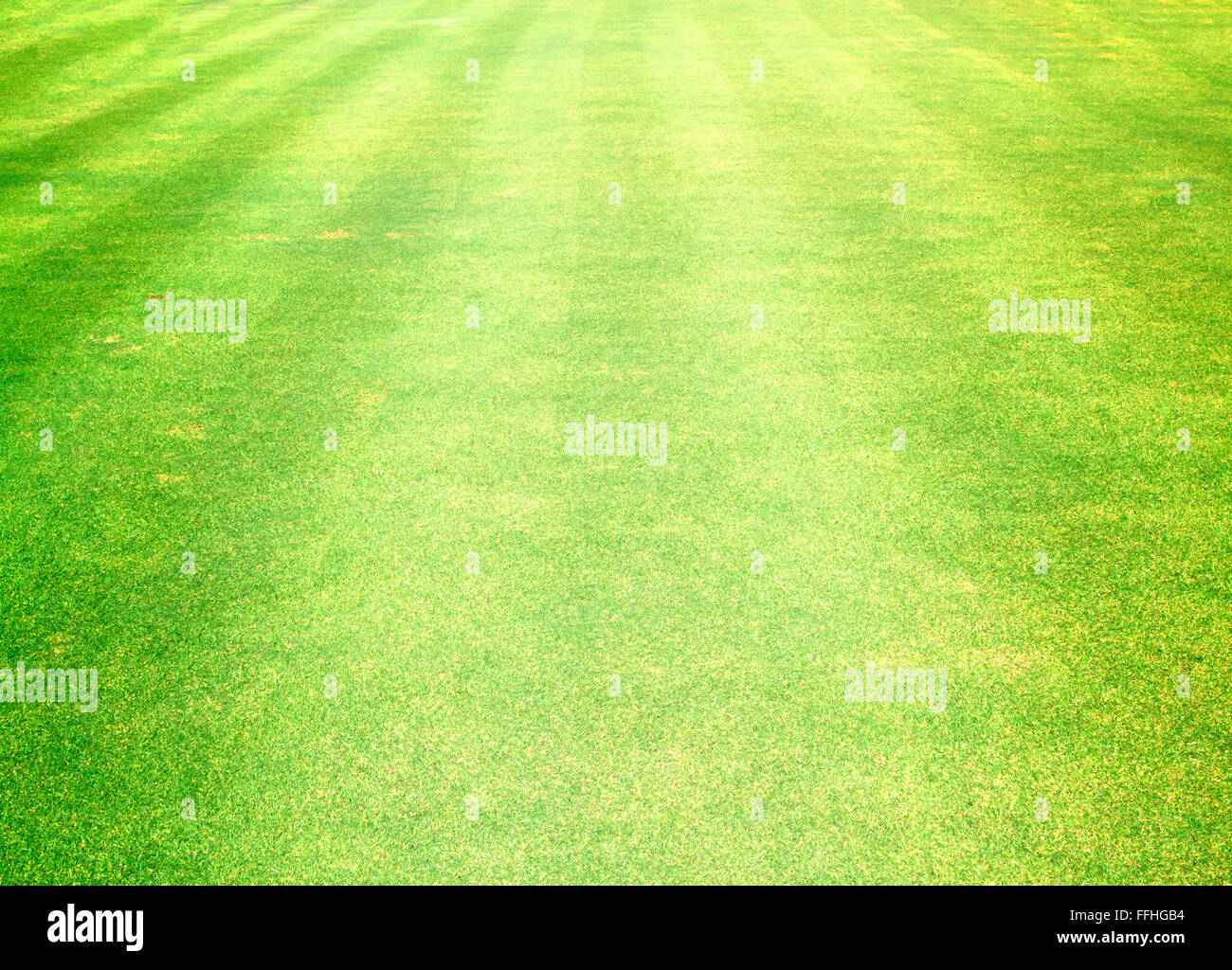 Golf Courses green lawn natural outdoor green Stock Photo - Alamy