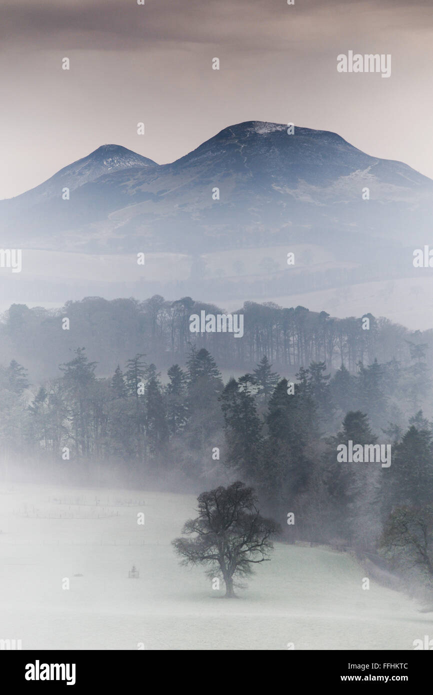 The mist rises above the River Tweed at Scott's View with the Eildon ...