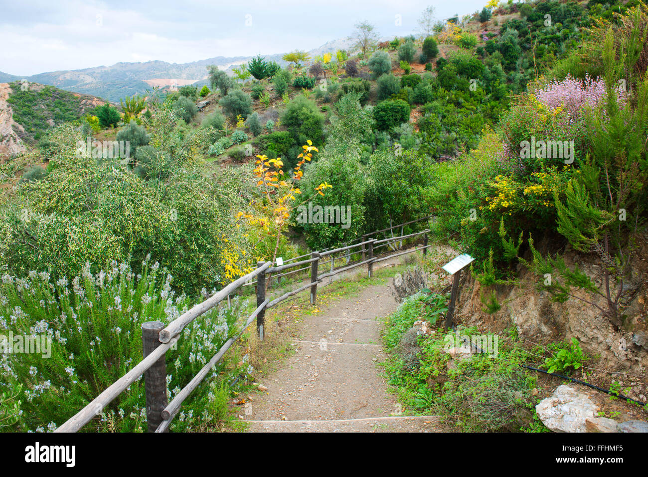 Botanical park chania crete hi-res stock photography and images - Alamy