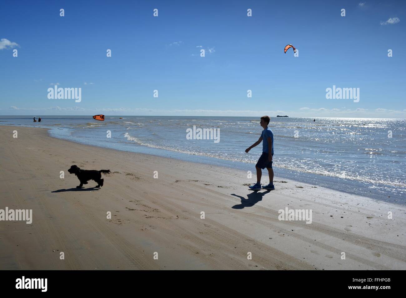 kite surfers and a boy walking his dog on wet sands at low tide in Camber Sands Stock Photo