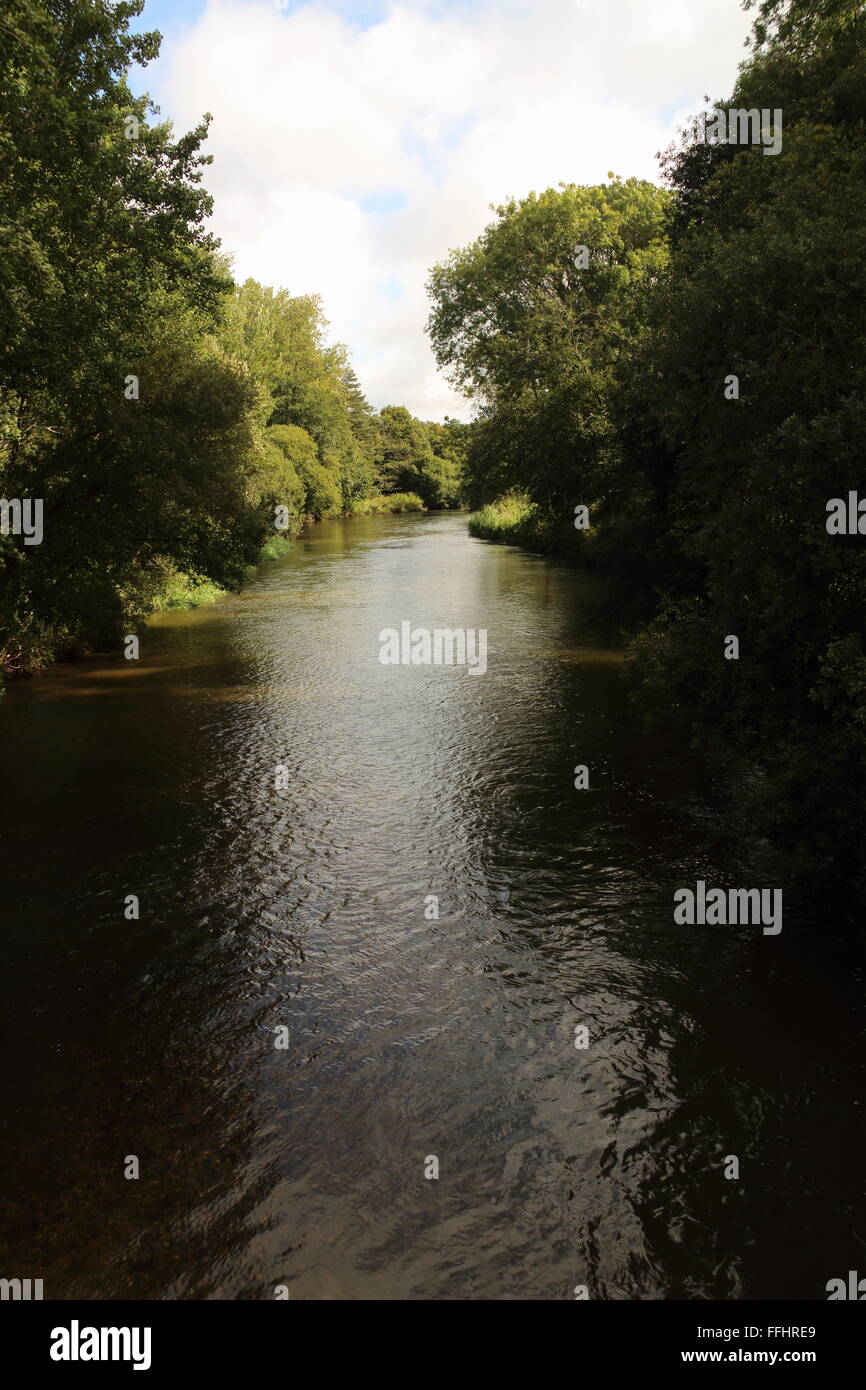 River in Dorset,UK Stock Photo - Alamy