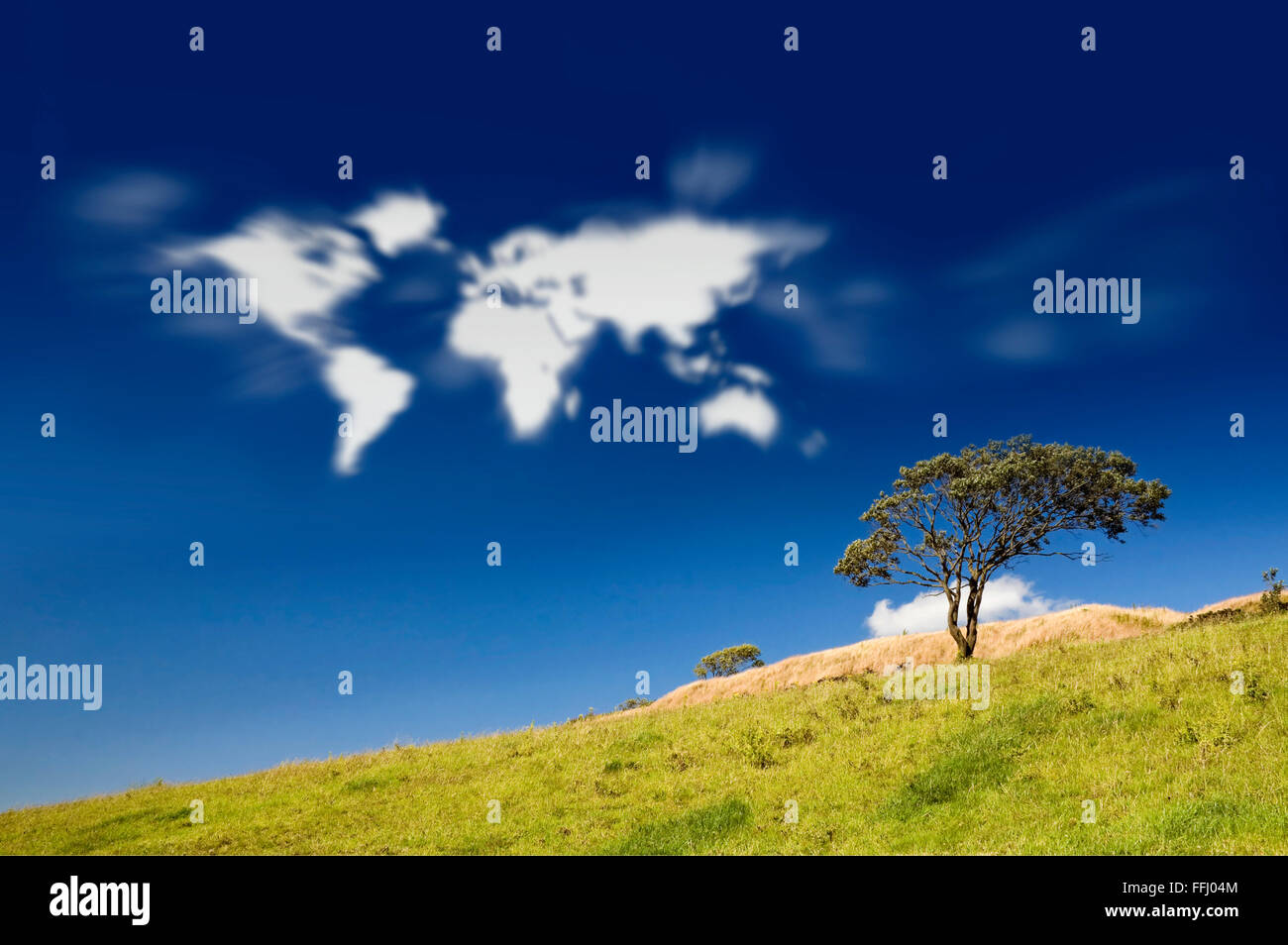 Earth clouds map in sky with field and tree. Stock Photo