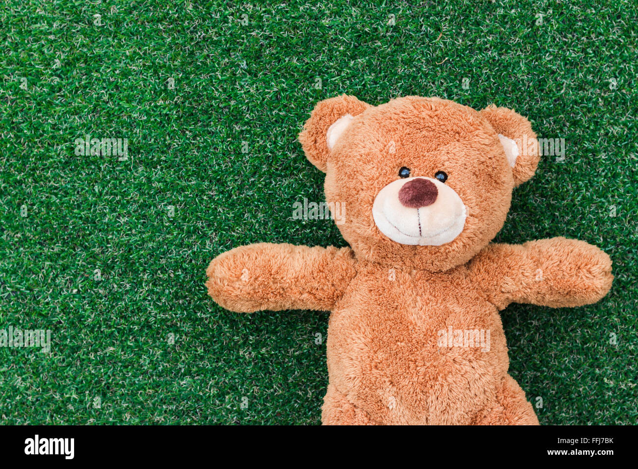 Cute teddy bear on green grass background Stock Photo - Alamy