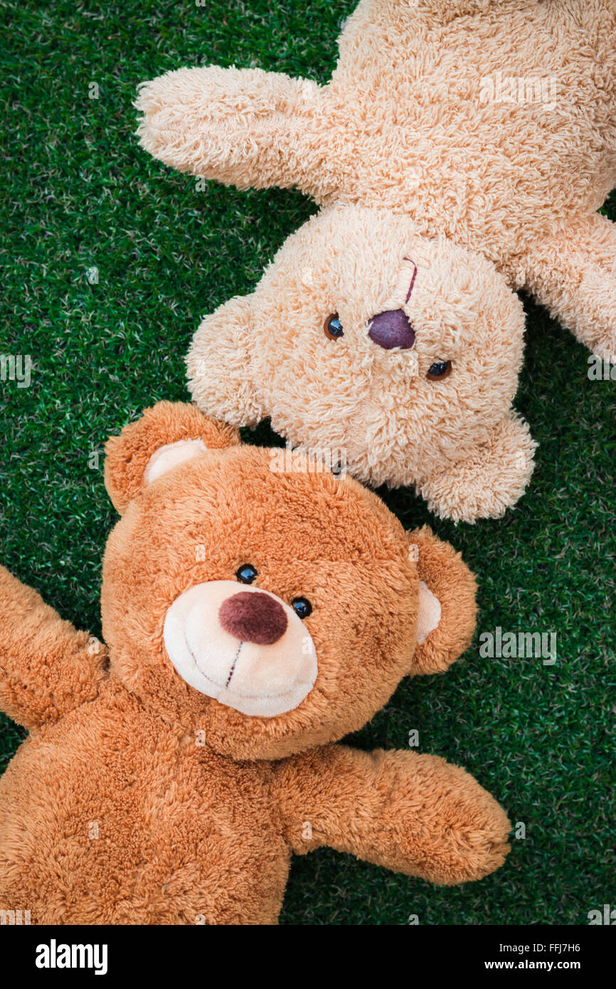 Cute teddy bear on green grass background Stock Photo - Alamy