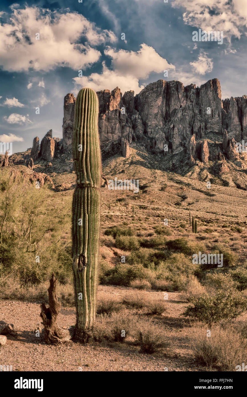 An image of the Superstition desert in Arizona shows the rugged detail of a dry wilderness with a saguaro cactus Stock Photo