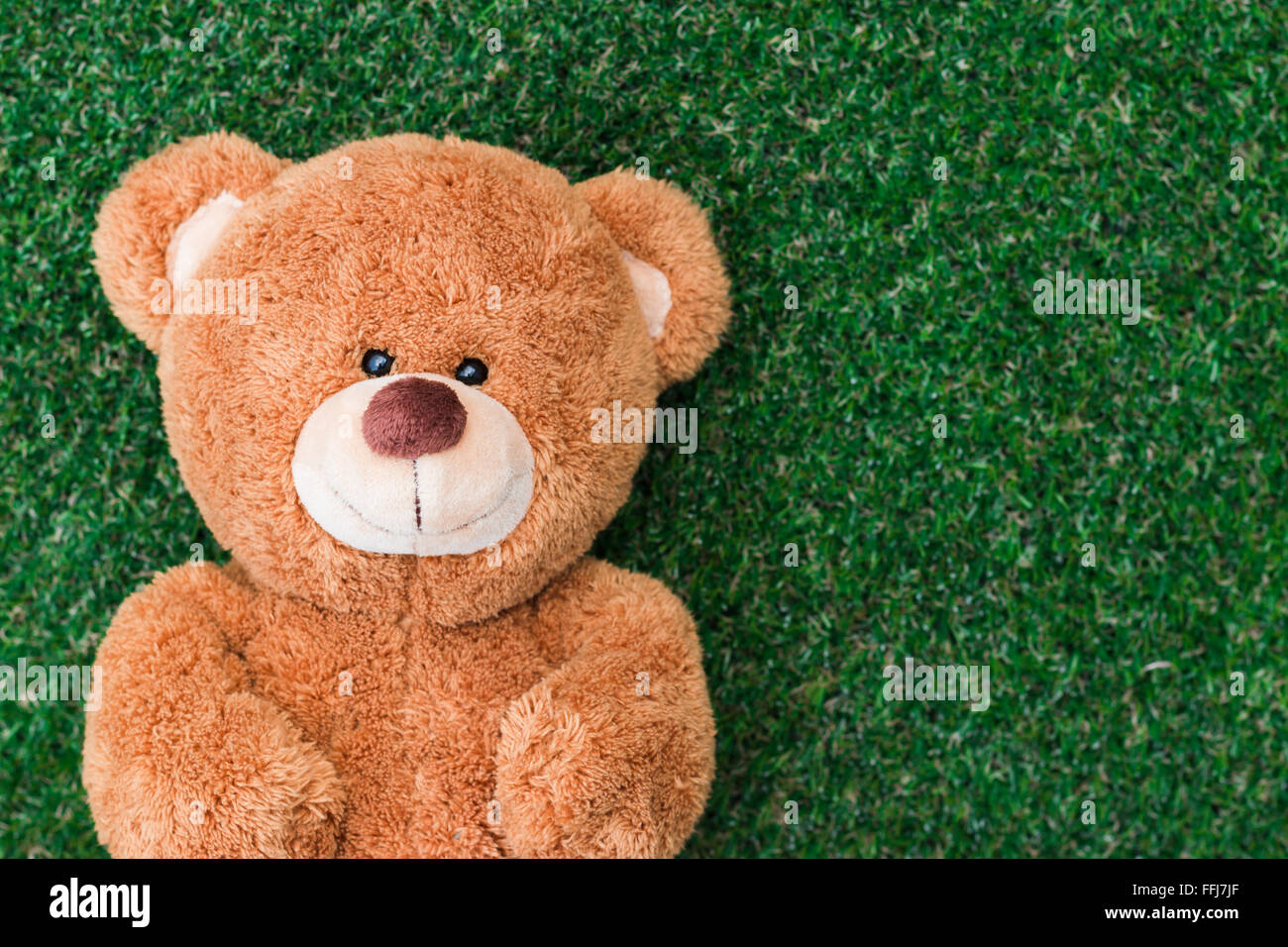 Cute teddy bear on green grass background Stock Photo - Alamy