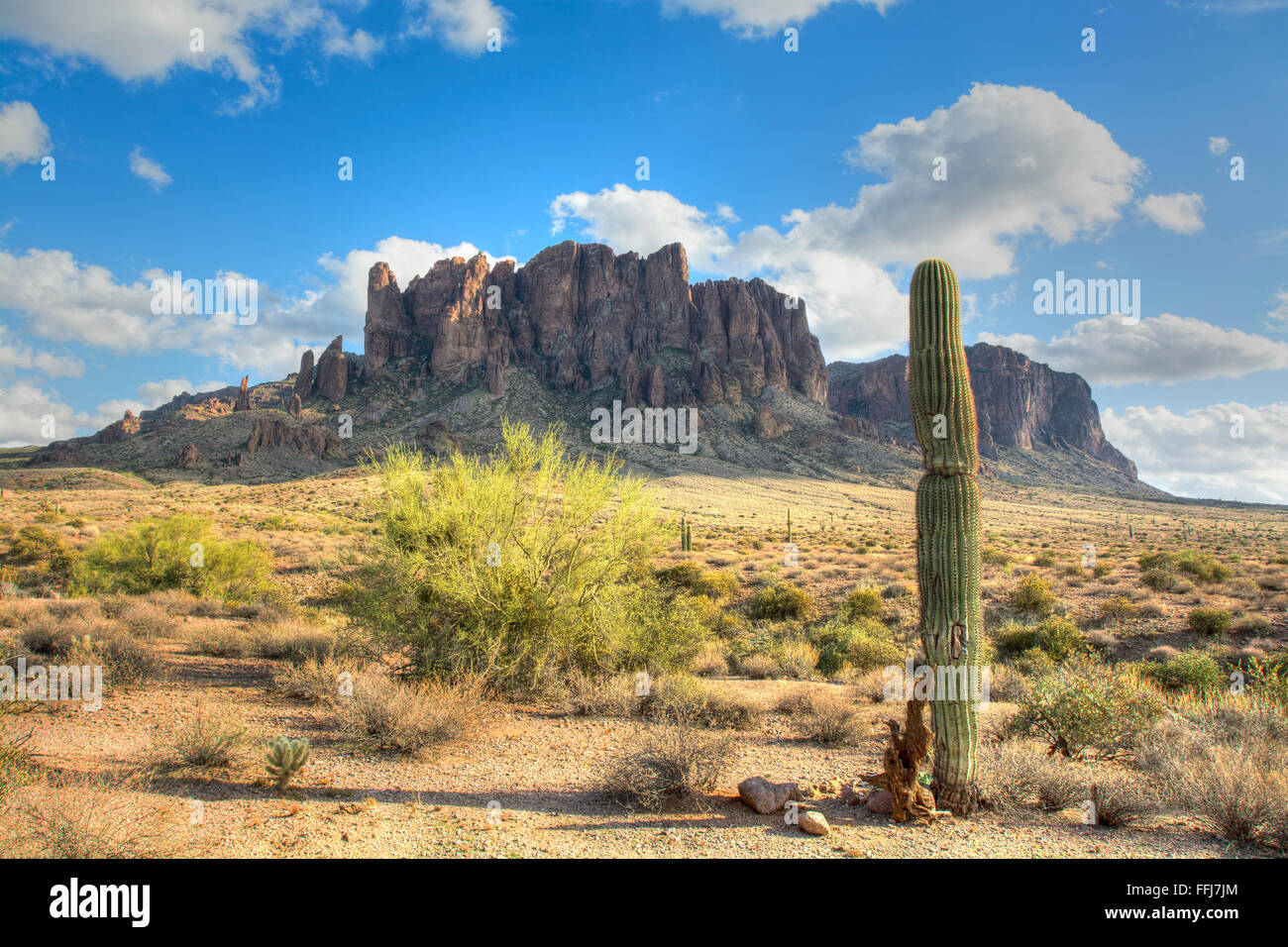 Famous Superstition Mountain in Arizona framed by a lone saguaro cactus shows the beauty of this dry desert landscape. Stock Photo