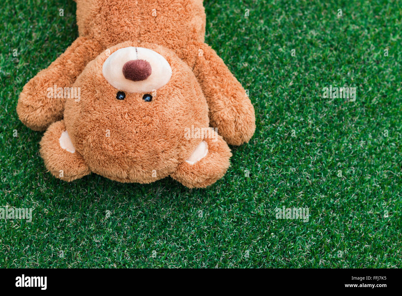 Cute teddy bear on green grass background Stock Photo