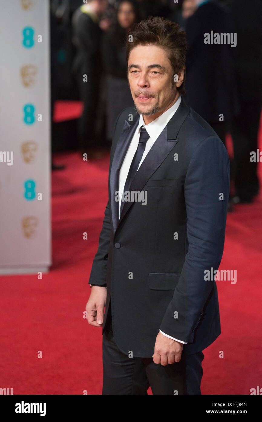 Actor benicio del toro hi-res stock photography and images - Alamy