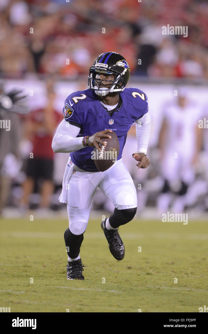 Tampa Fl Usa 8th Aug 2013 Baltimore Ravens Quarterback Tyrod Stock Photo Alamy