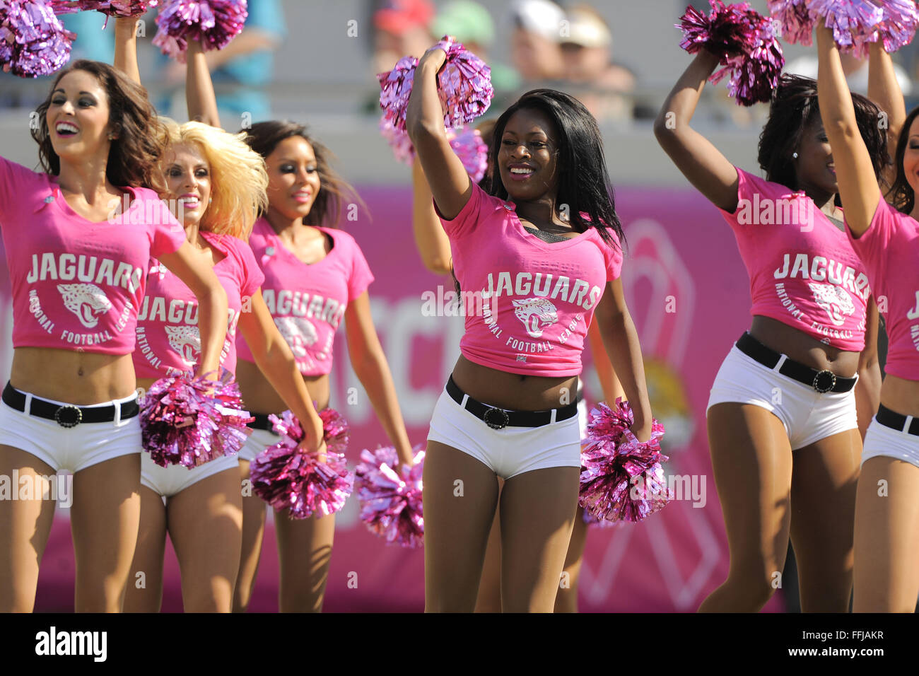 Jacksonville, FL, USA. 20th Oct, 2013. Jacksonville Jaguars