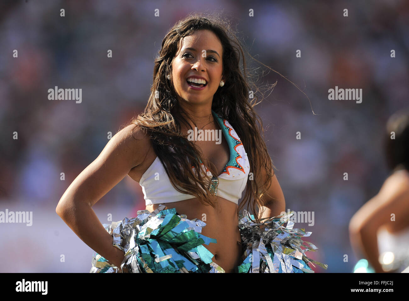 Dolphins cheerleader hi-res stock photography and images - Alamy