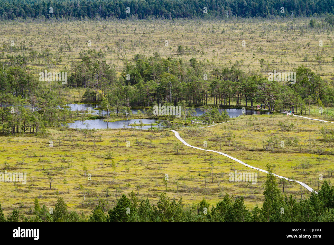 Tourists on curve hiking trails of Tolkuse bog, Estonia Stock Photo