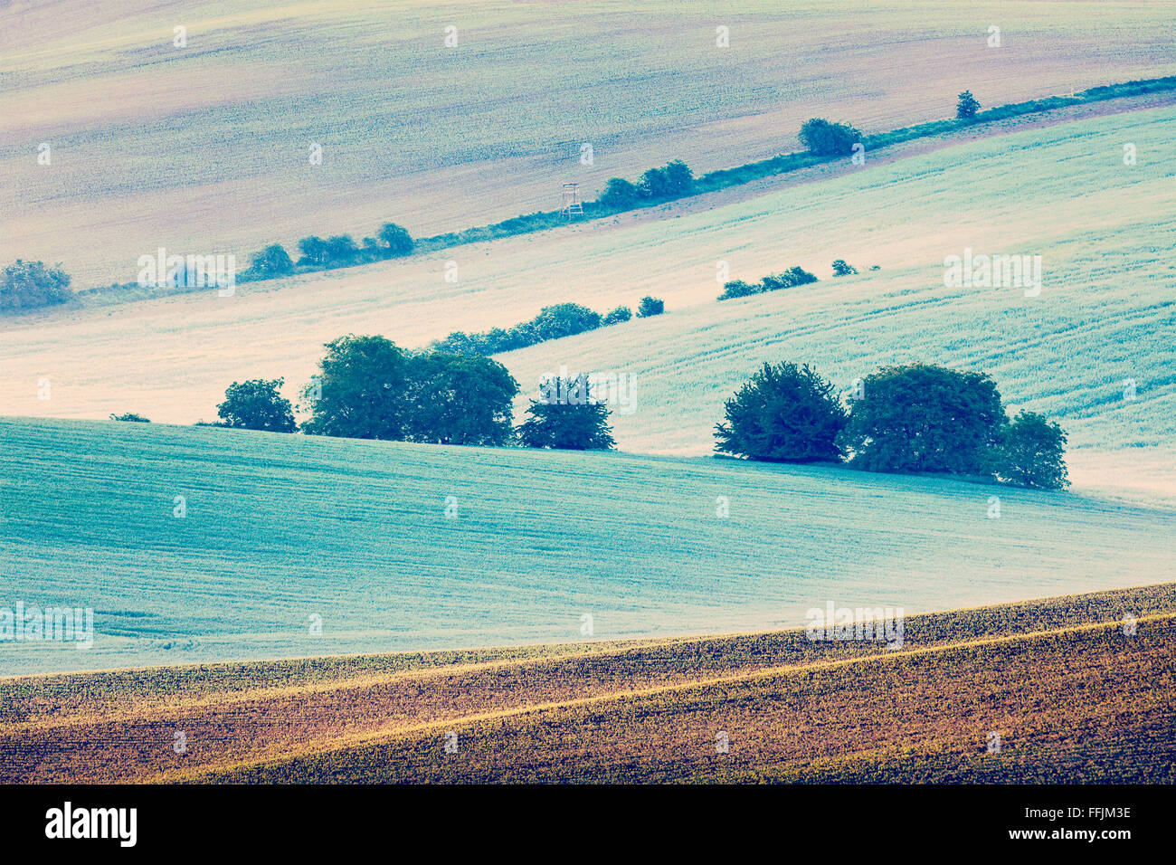 Moravian rolling fields in morning mist Stock Photo - Alamy