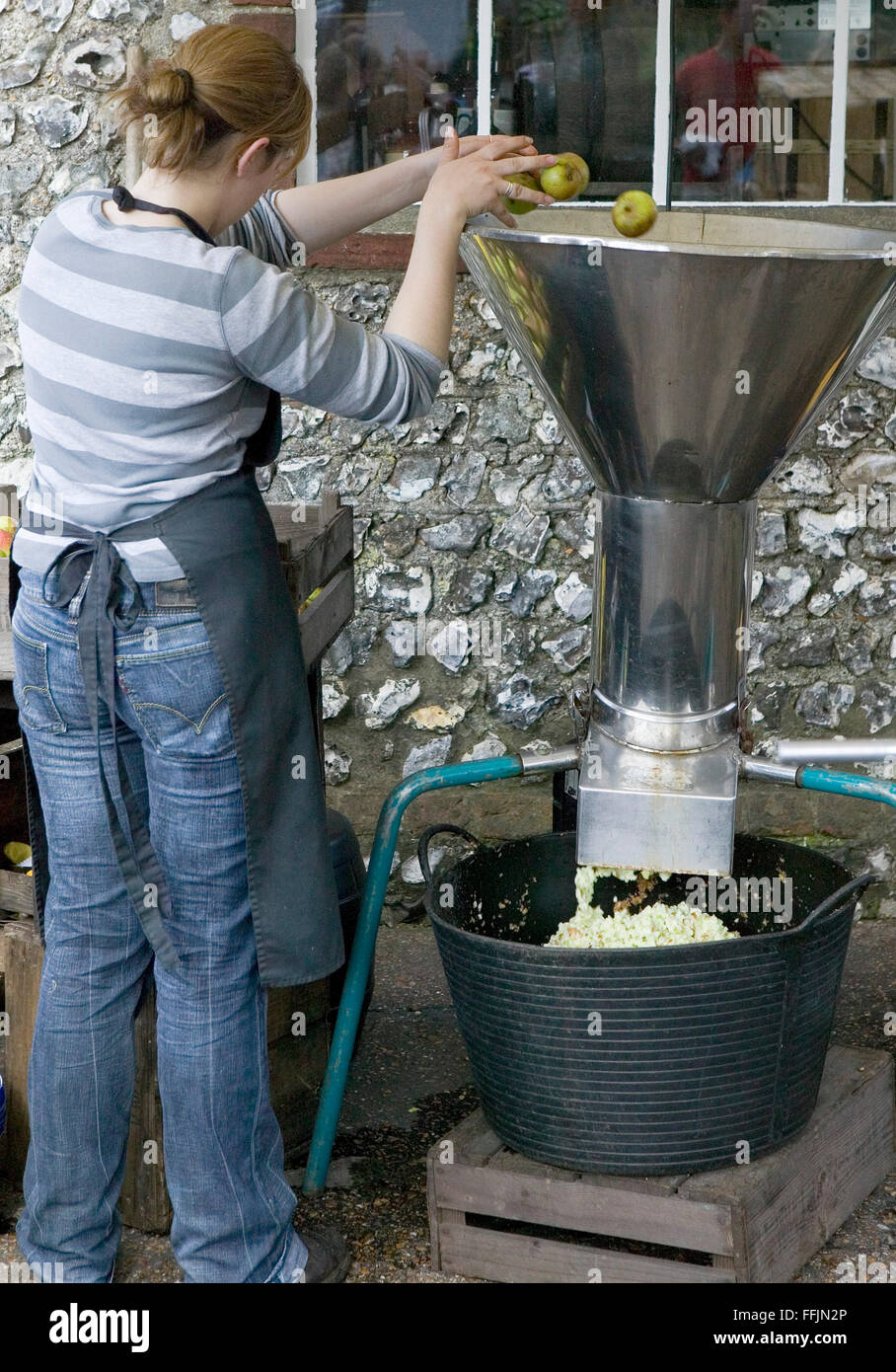 Girl pressing apples to extract juice Stock Photo Alamy