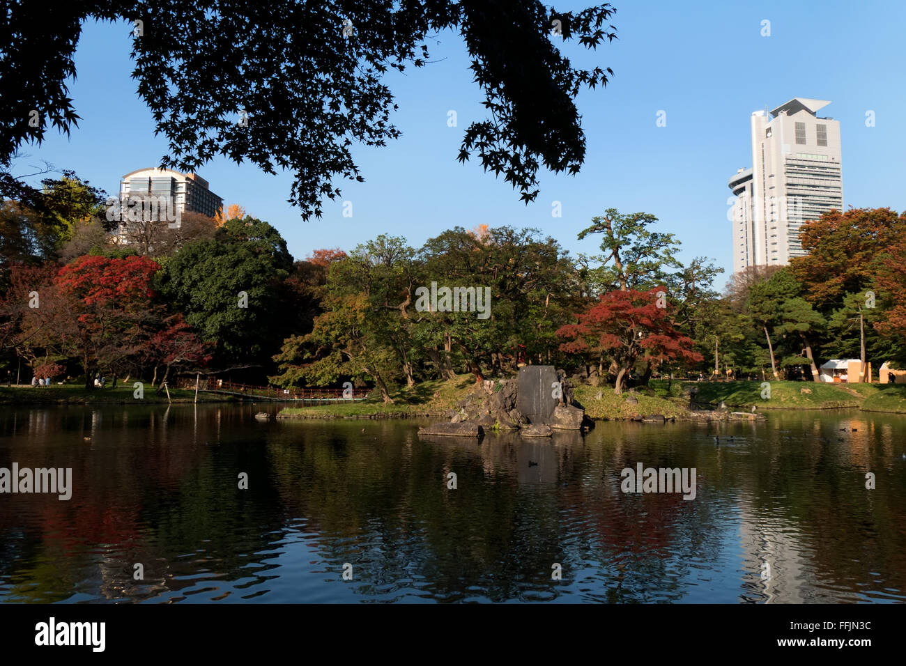 Koishikawa Garden, Tokyo, Japan. City park in fall season, autumn foliage trees. Japanese culture, nature, landscape Stock Photo - Alamy