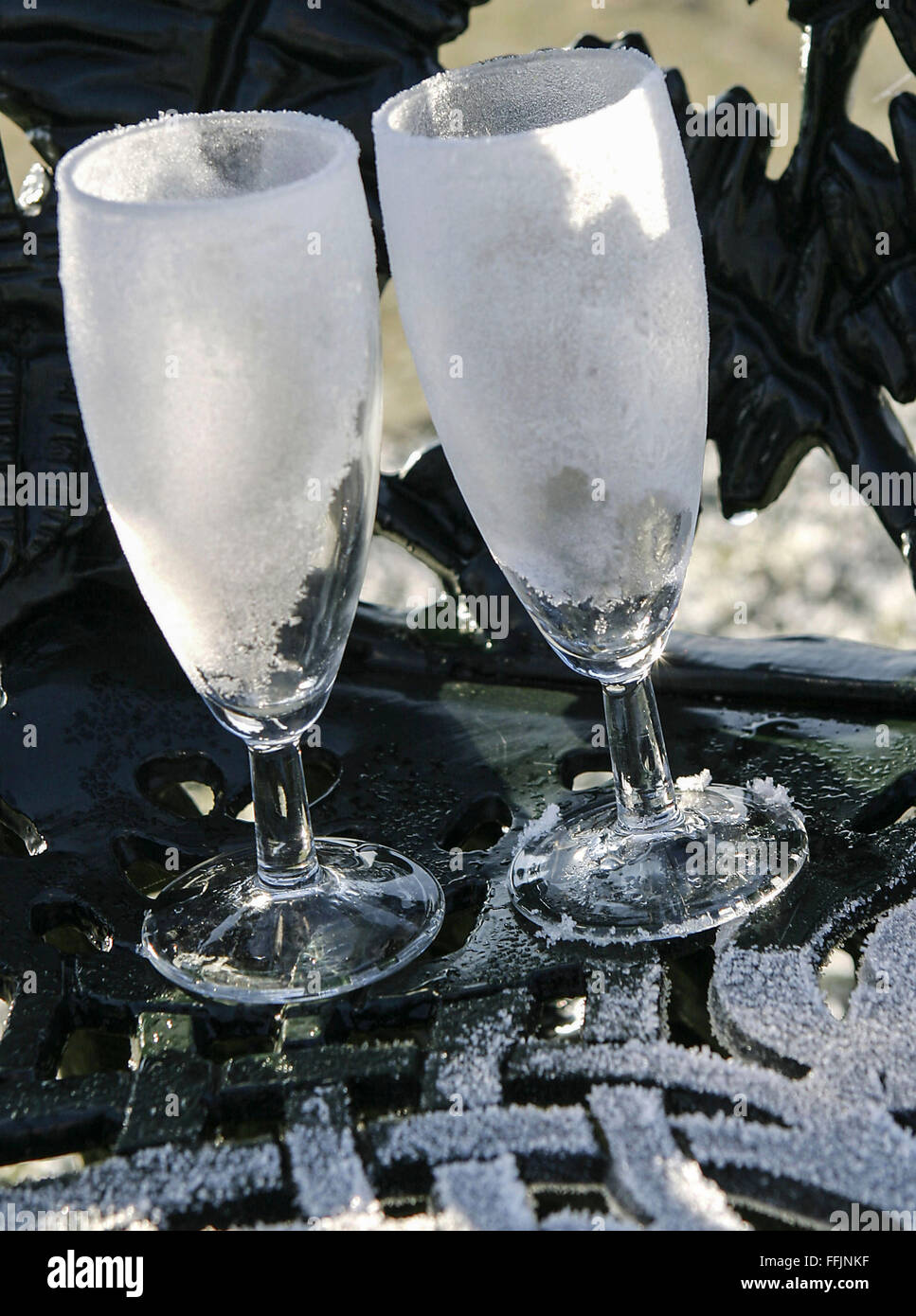 Frozen champagne flutes in winter frost Stock Photo Alamy