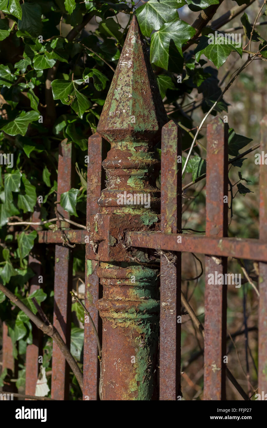 Close up of rusty iron railings in Abington Park, Northampton Stock ...