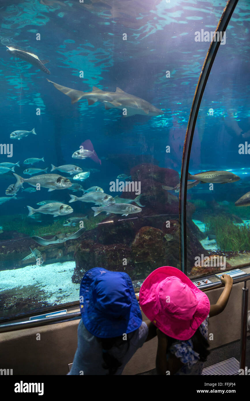 Kids in underground tunnel of Barcelona Aquarium, Port Vell harbor in ...