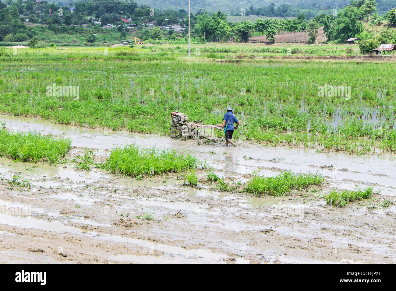 Asia Farmer using tiller tractor in rice field Stock Photo