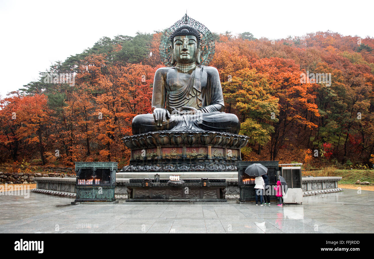 Gangwon-do, South Korea - November 12, 2015: Big Buddha Monument of Sinheungsa Temple in Seoraksan National Park Sokcho, South K Stock Photo