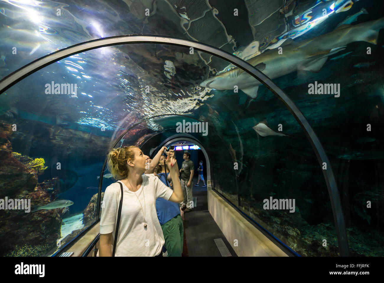 Laquarium de barcelona hires stock photography and images Alamy