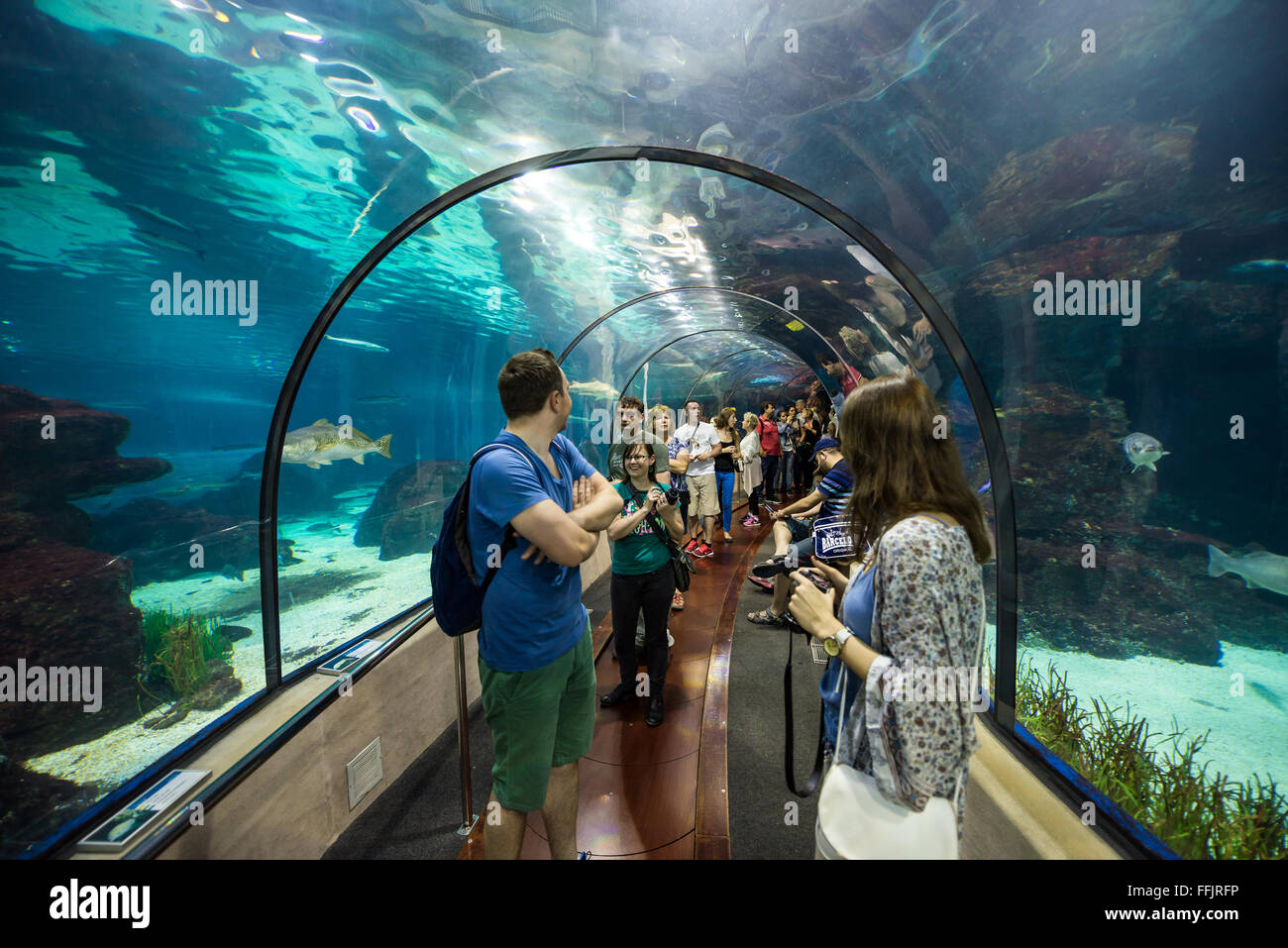 Visitors in underwater tunnel of Barcelona Aquarium, Port Vell harbor
