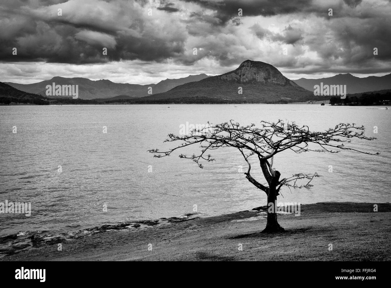 At Lake Moogerah Stock Photo