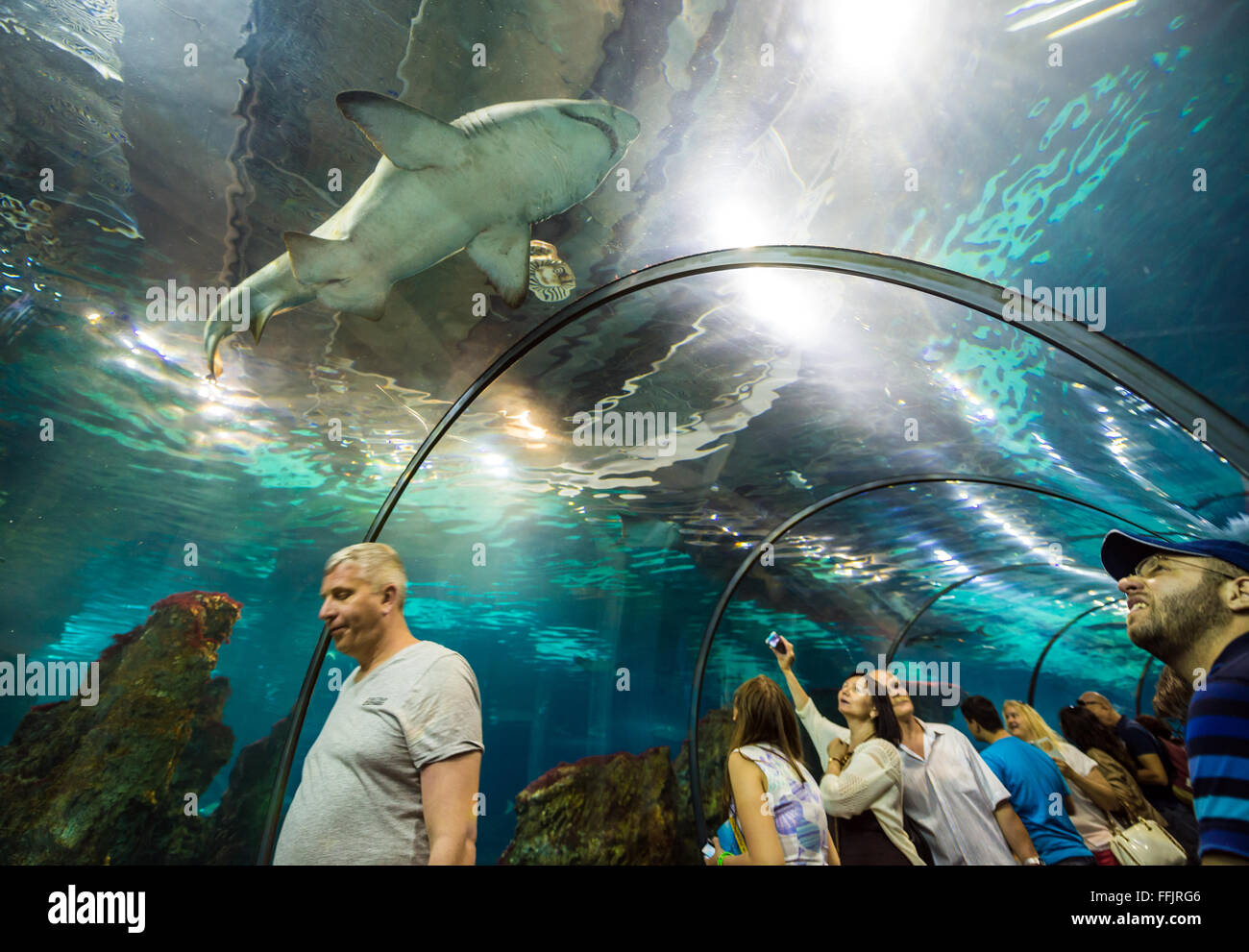 Visitors in underground tunnel of Barcelona Aquarium, Port Vell harbor ...