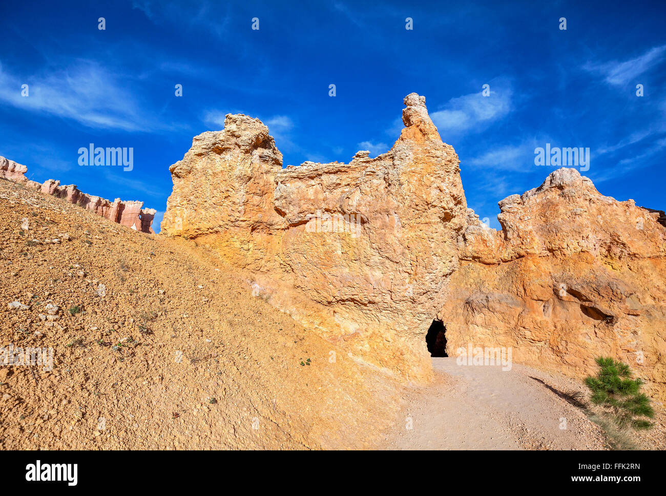 Path in the Bryce Canyon National Park, Utah, USA. Stock Photo