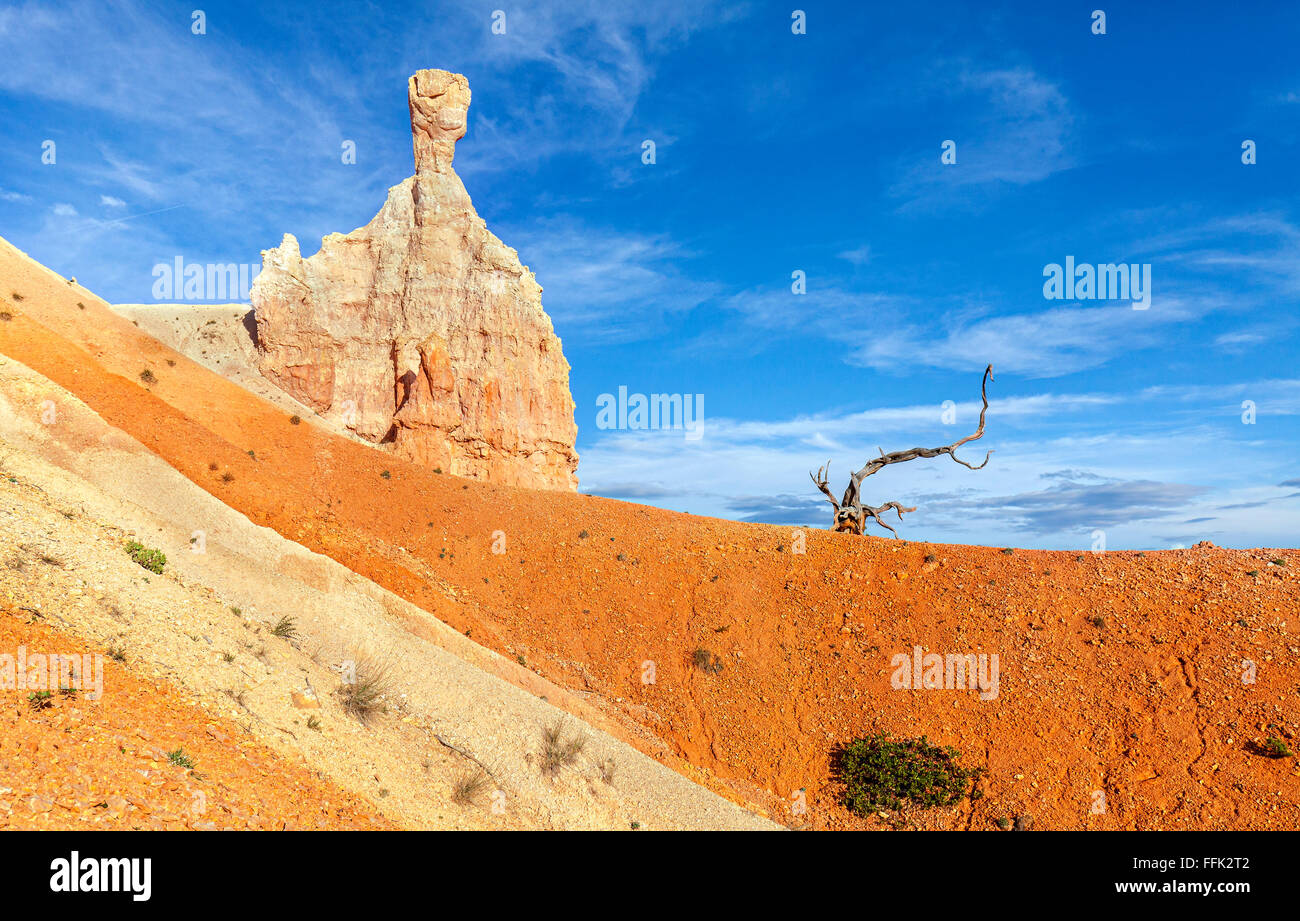 Rock formation in Bryce Canyon National Park, Utah, USA. Stock Photo