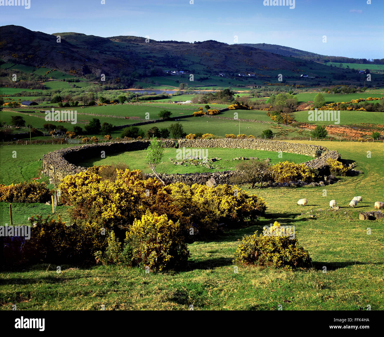 Drumena Cashel Mournes Down Northern Ireland Stock Photo