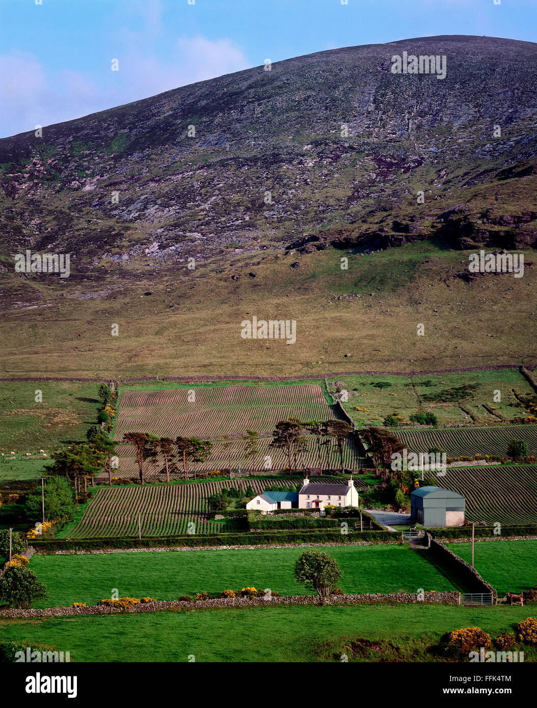 Farnhouse on Trassey road Mournes Mourne mountains Northern Ireland Stock Photo