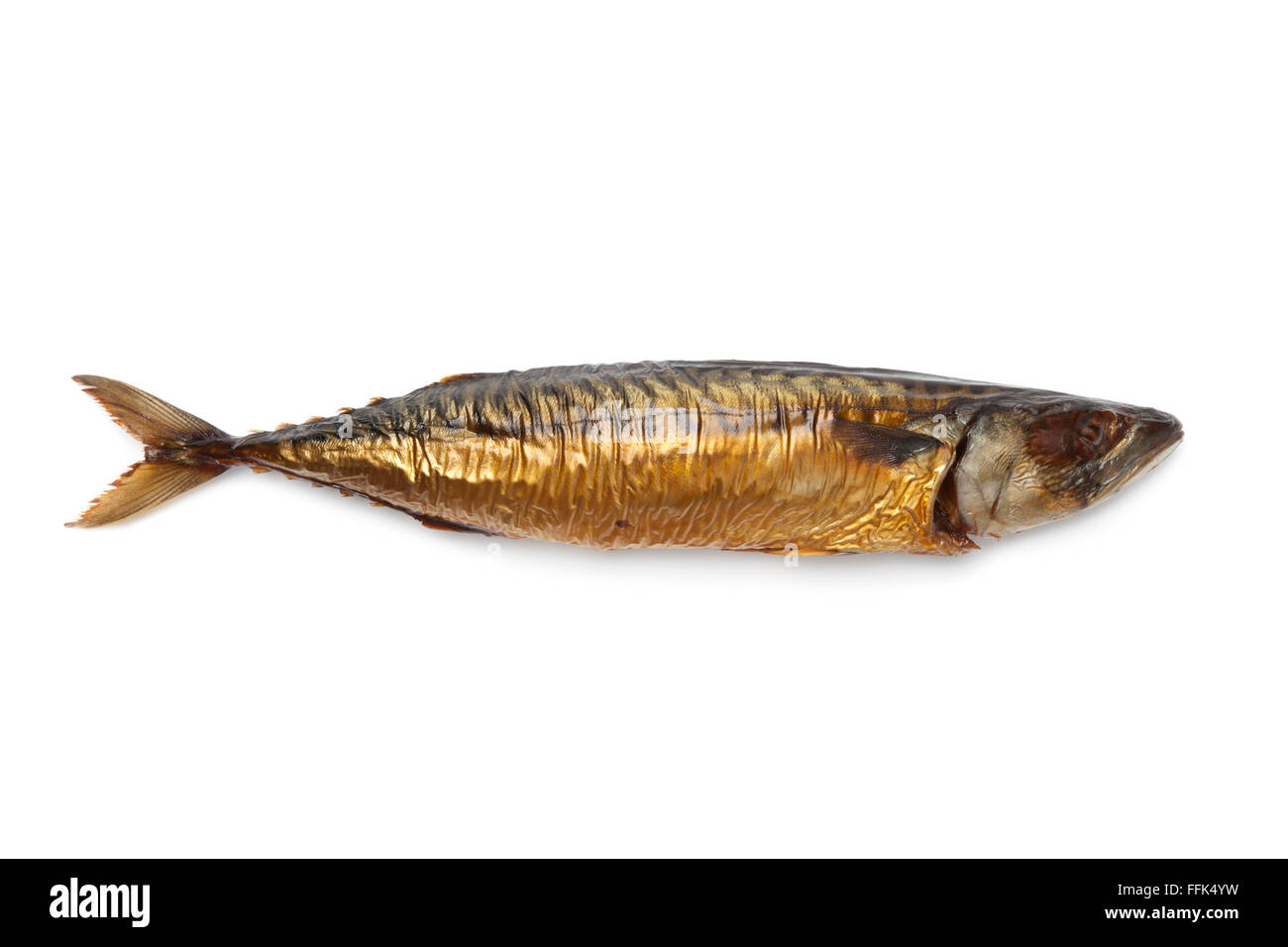 Whole single fresh steamed and smoked mackerel fish isolated on white background Stock Photo