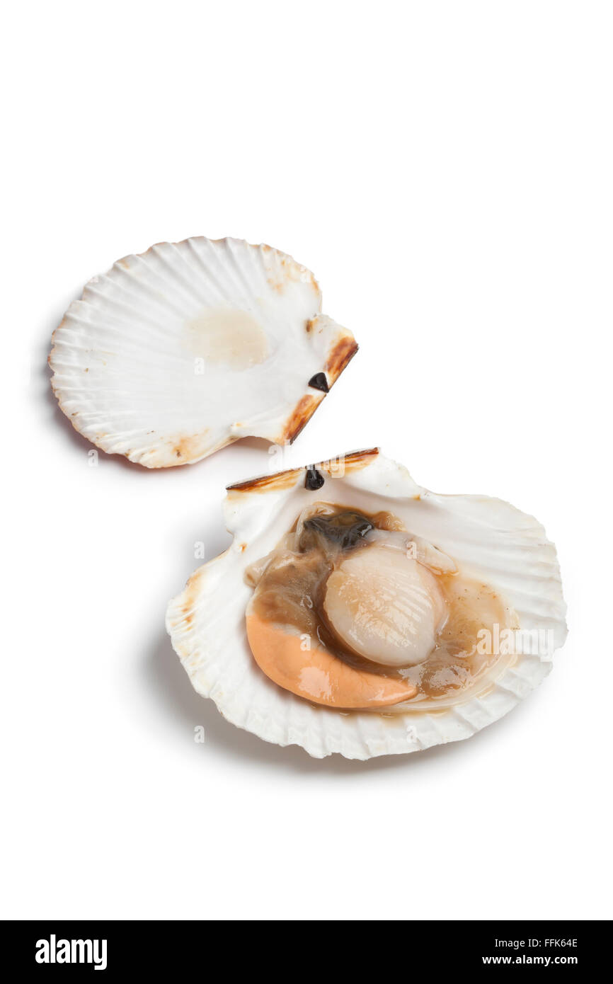 Raw Scallop High Resolution Stock Photography And Images Alamy