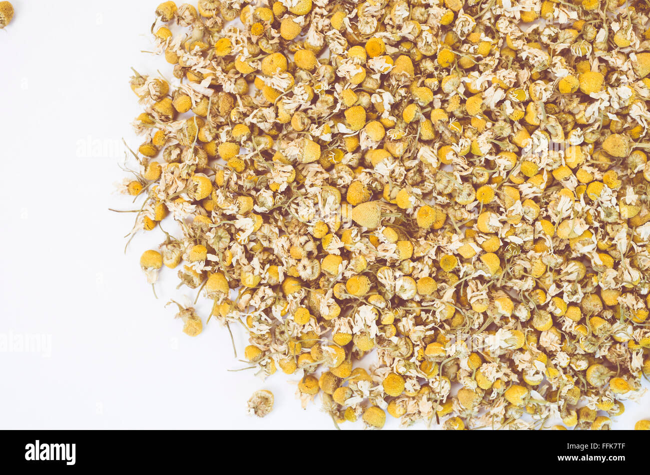 roman chamomile dried flowers white background Stock Photo Alamy