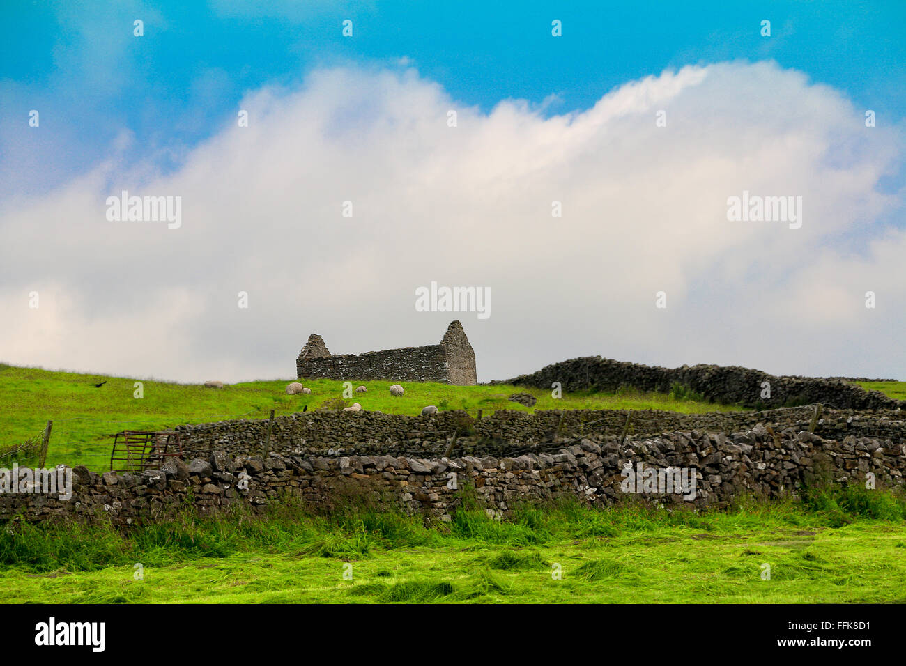 Derelict farmhouse, Carlton, Yorkshire, England Stock Photo Alamy