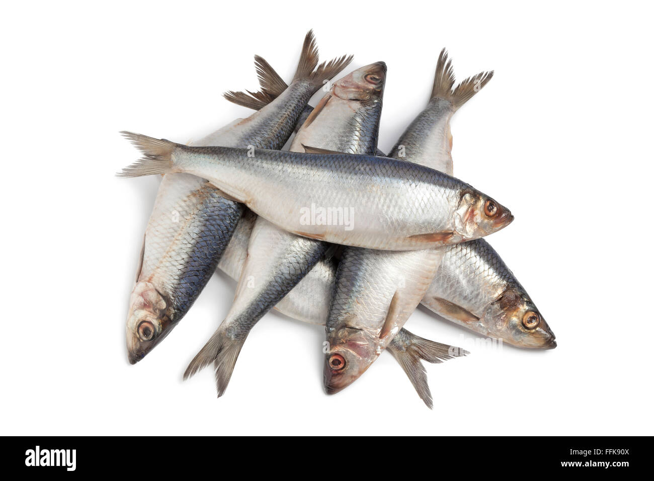 Whole fresh raw herring on white background Stock Photo