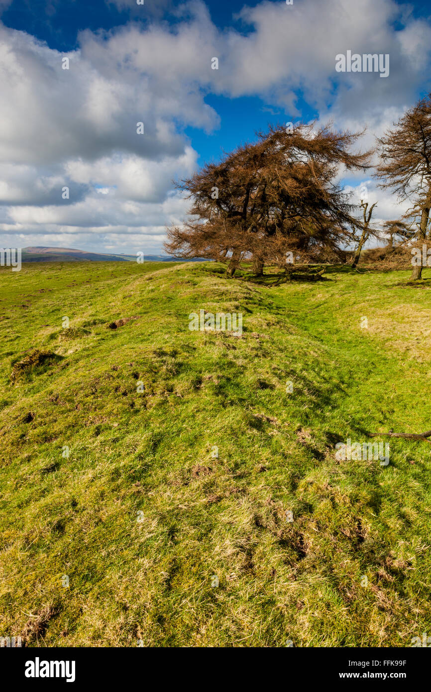Offa's Dyke earthwork and National Trail near Panpunton Hill
